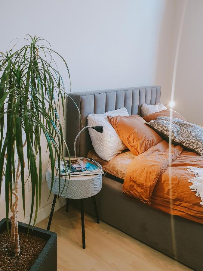 Priestranny Apartman V Centre Koszyce Zewnętrze zdjęcie